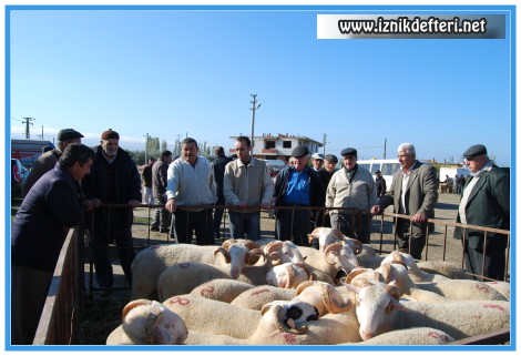 2010 Yılı Kurban Komisyonu Toplantısı Yapıldı