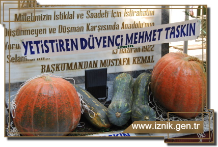 75 Kg. Dev Bal Kabağı