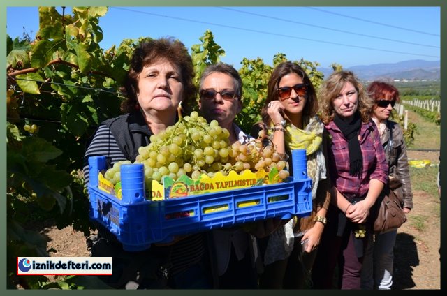 Avrupalı Öğretmenler İznik'te Ağırlandı