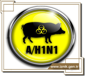 H1N1 li Öğrencinin Velisi Sağlık Çalışanı