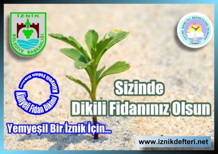 Haydi İznik, Fidan Dikmeye