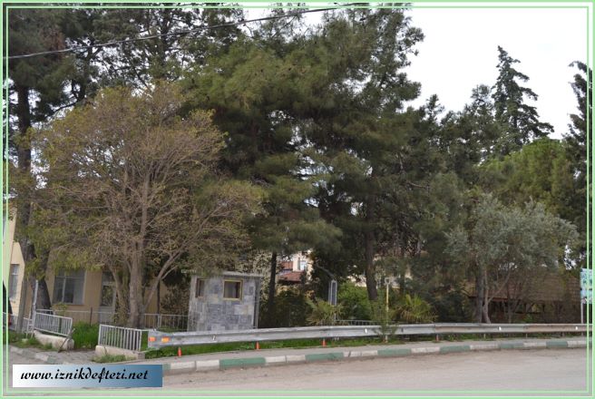 İlçede Sürpriz Tahsisler Yapılıyor, Güç Birliği Reklam Peşinde…