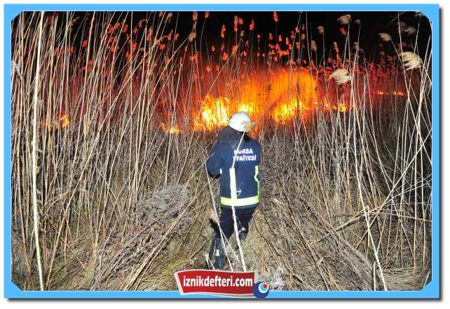 İznik Gölü Sahilindeki Sazlıklar Kül Oldu