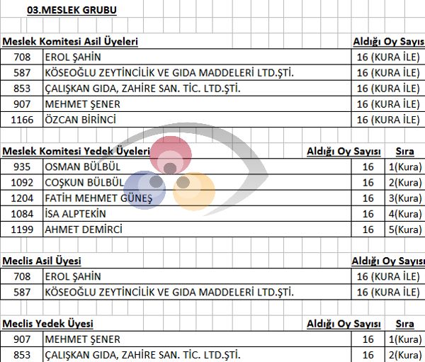 İznik TSO Seçimlerinde Üyeler Odasına Sahip Çıktı