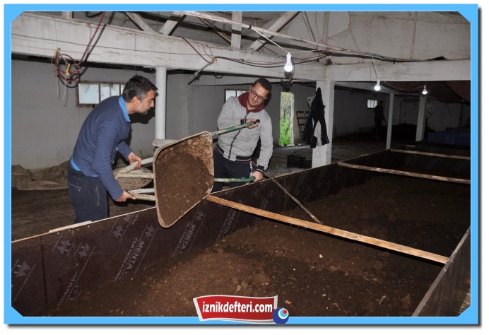 İznik,Kaliforniya Solucanı İle Tanıştı
