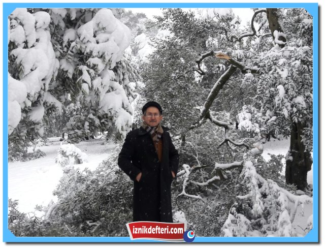 İznikli Zeytin Üreticisinde Kar Sıkıntısı