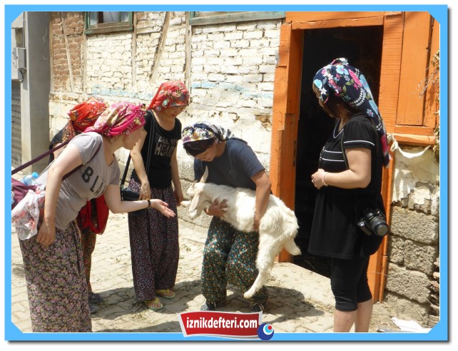 Japonların İğne Oyası Merakı