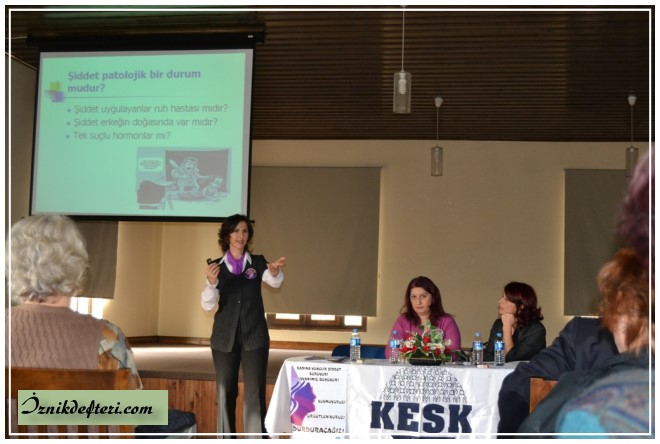 Kadına Şiddet, Kurumlardan İlgi Görmedi