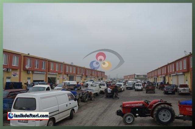 Kalamata Zeytin Çeşidi Trilye Zeytinin Tahtına Talip