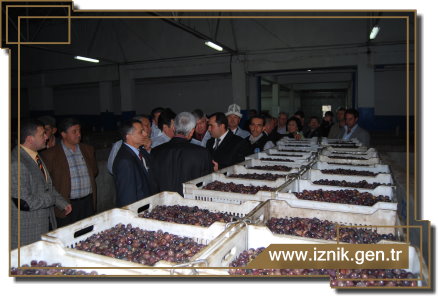 Kardeş Şehir Talas Belediyesi İznik'te