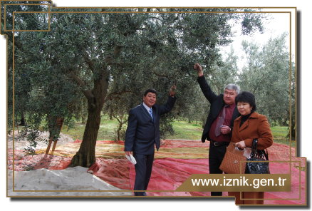 Kardeş Şehir Talas Belediyesi İznik'te
