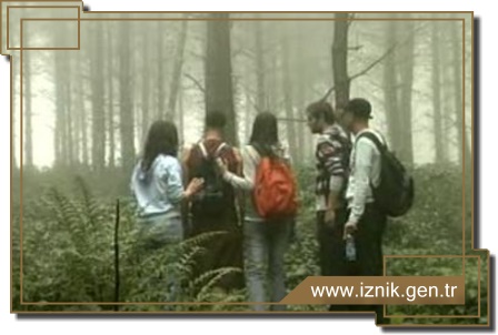 Lost'a Yerli Rakip, Göl