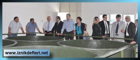 Marmarabirlik Ümit Veren Tek Örnek