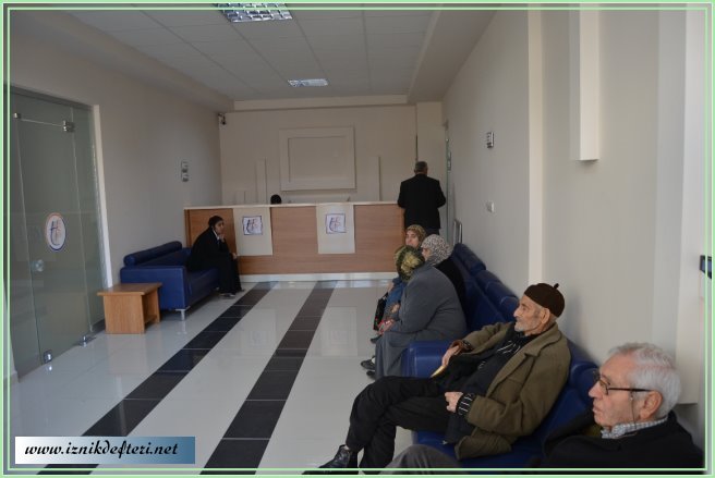 Meyve Veren Ağaç Taşlanıyor mu?