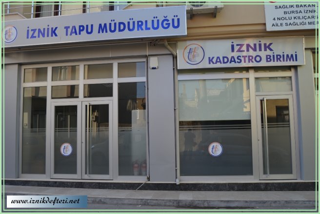 Meyve Veren Ağaç Taşlanıyor mu&#63