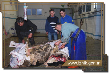 Mezbahanede Kurban Kesimi