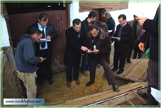 Sosyal Yardımlaşma ve Dayanışma Vakfından Hayvancılık Teşviki