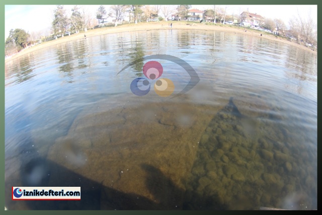 Su Altı Fotoğrafları İle Göl İçindeki Bazalika
