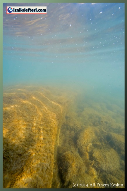 Su Altı Fotoğrafları İle Göl İçindeki Bazalika