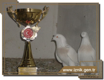 Türkiye Birincisi İznik'ten