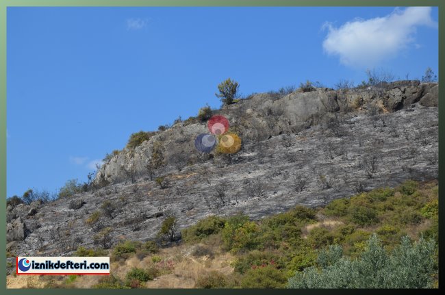 Yangın Paniği Kısa Sürdü
