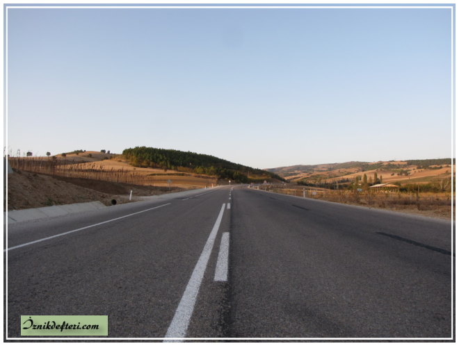 Yenişehir İznik Karayolu Zeytinliklerde Katliama Yol Açacak