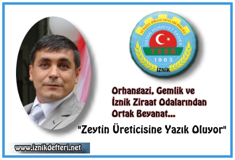 Zeytin Üreticilerine Yazık Oluyor