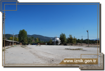 Zeytinde Açık Pazar Dönemi