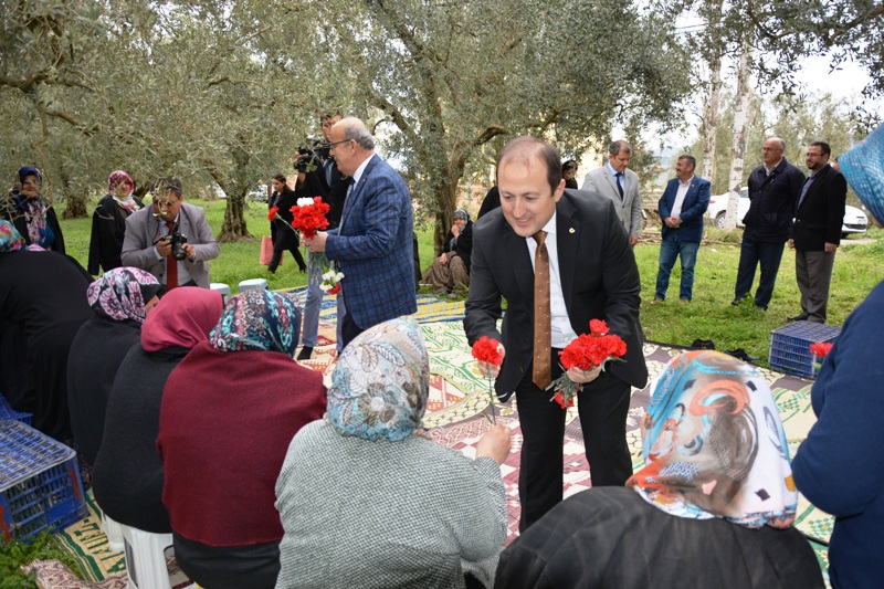 Zeytin bahçesinde “Dünya Emekçi Kadınlar Günü” kutlandı!