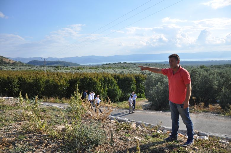 İznik Ovasında 10 Bin Dekar Alanda Zarar, Milyonlarca Lira