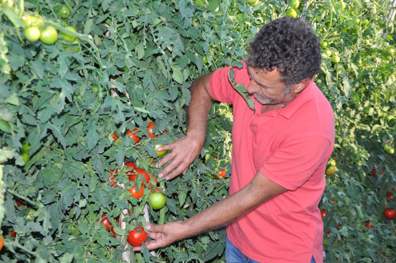 İznik Ovasında 10 Bin Dekar Alanda Zarar, Milyonlarca Lira