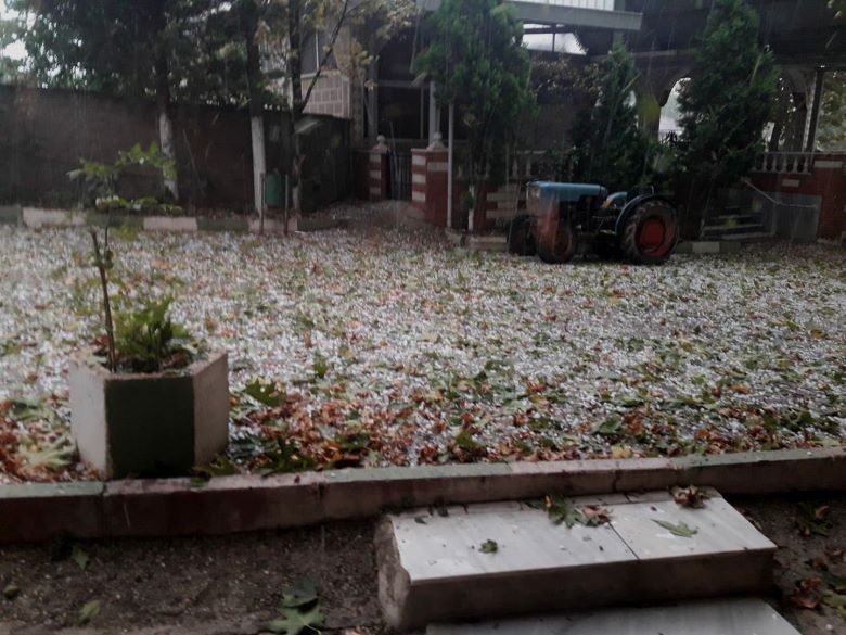 Dolu Yağışı İznik Ovasını Vurdu