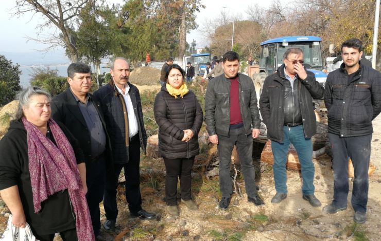 Sahil Projesinde Kesilen Ağaçlar Tepki Çekti