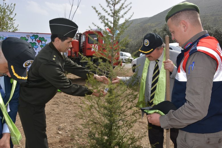 Fidanlar Afrin Şehitleri İçin Dikildi