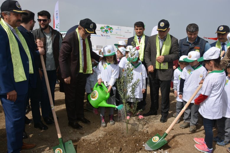 Fidanlar Afrin Şehitleri İçin Dikildi