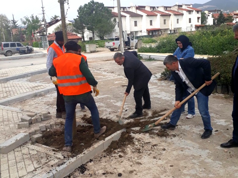 Sahil Projesinde İlk Ağaç İlçe Yönetimi Tarafından Dikildi
