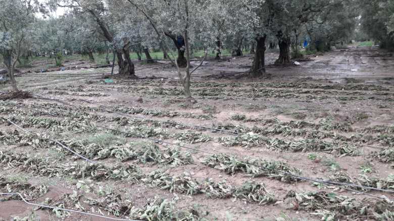 Vahit Mutlu, “Yerel Yönetimlerin Hatasını Çiftçilerimiz Çekiyor”
