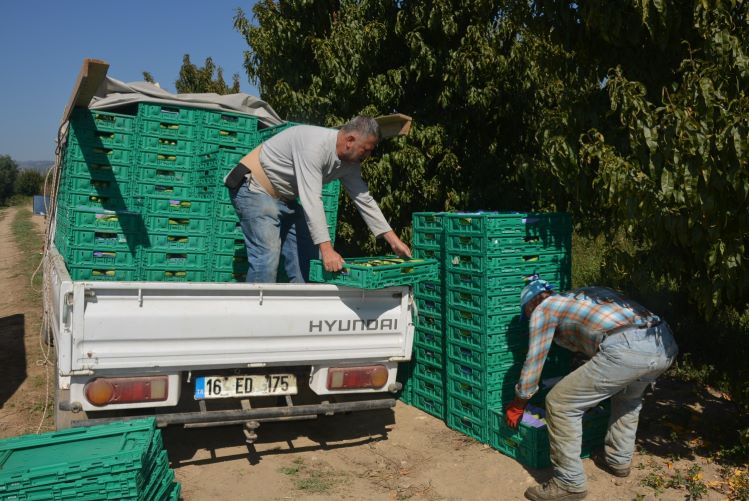 Üreticilerin Aracı İsyanı