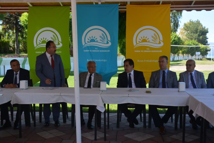 Bursa Valisi Küçük ,” Balık Gölde Gerek”