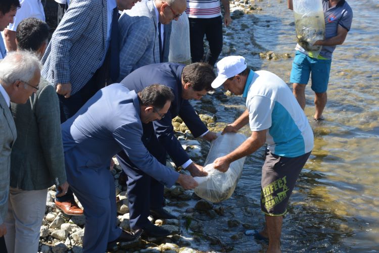 Bursa Valisi Küçük ,” Balık Gölde Gerek”