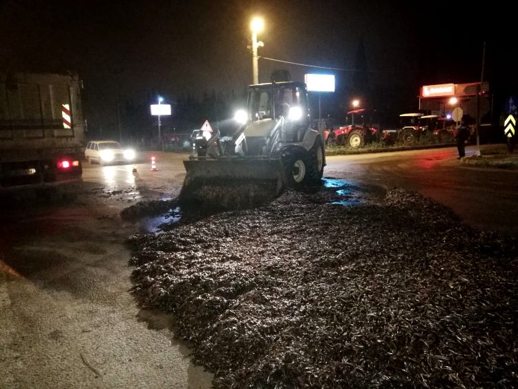 15 Ton Hamsi Yola Saçıldı