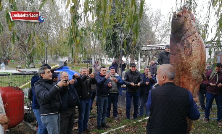çakırca yayın balığı
