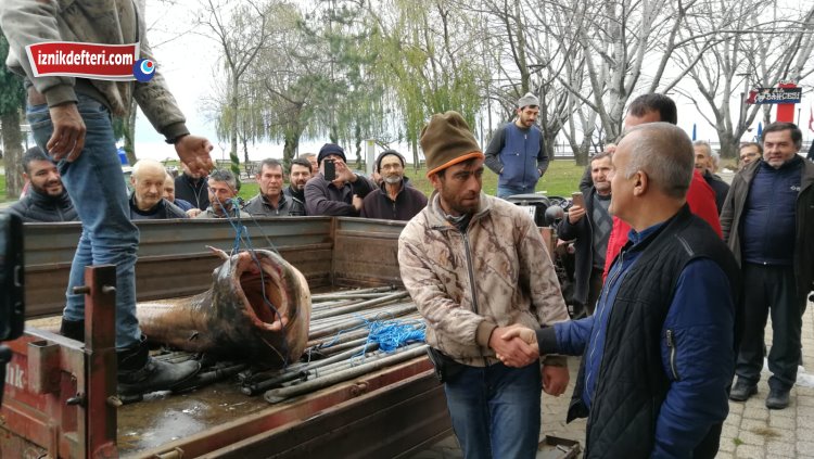 çakırca yayın balığı