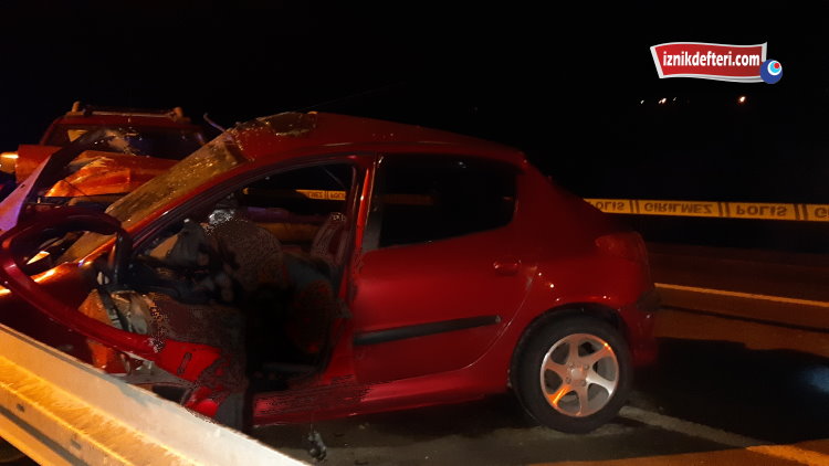 İznik-Adapazarı kara yolu