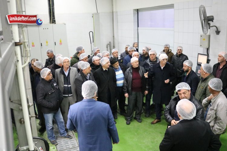 İznikli Üreticilerden Marmarabirlik Ziyareti