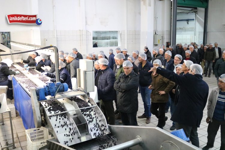 İznikli Üreticilerden Marmarabirlik Ziyareti