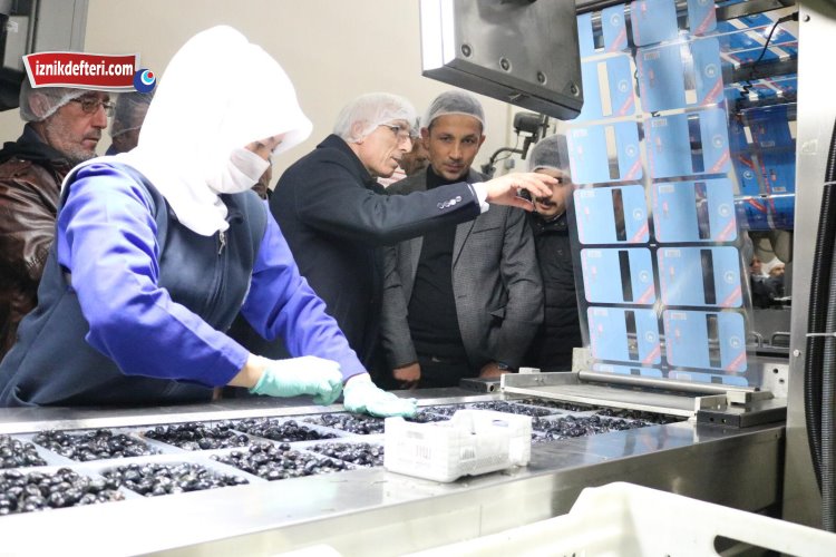 İznikli Üreticilerden Marmarabirlik Ziyareti