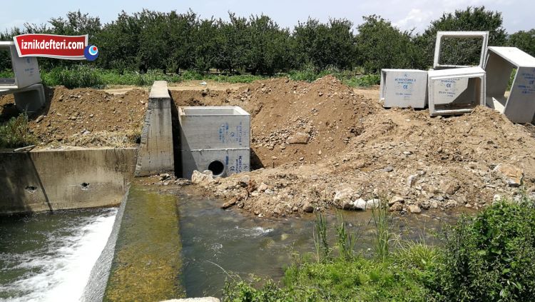 asiye çalışkan