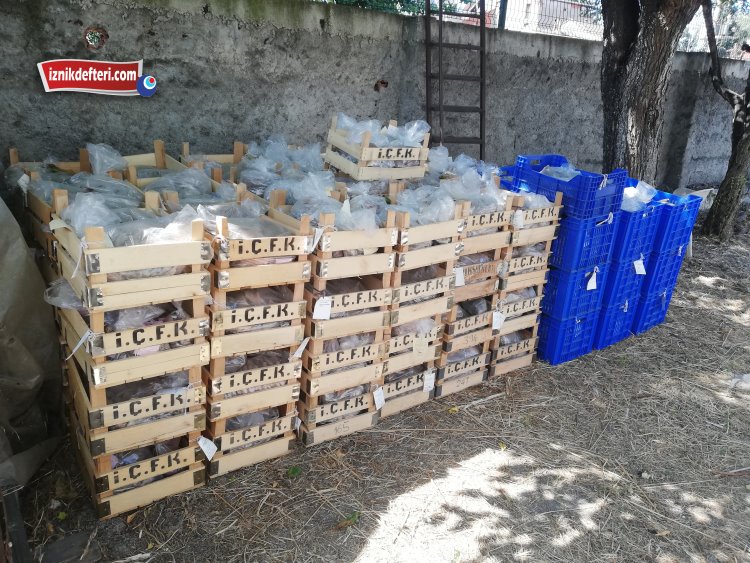 İznik Çini Fırınları Kazı Alanı