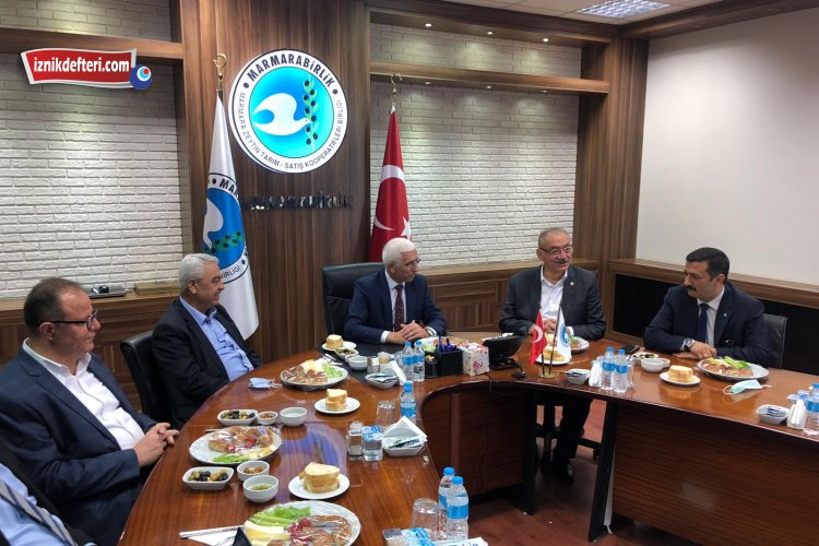 İyi Parti - İznik